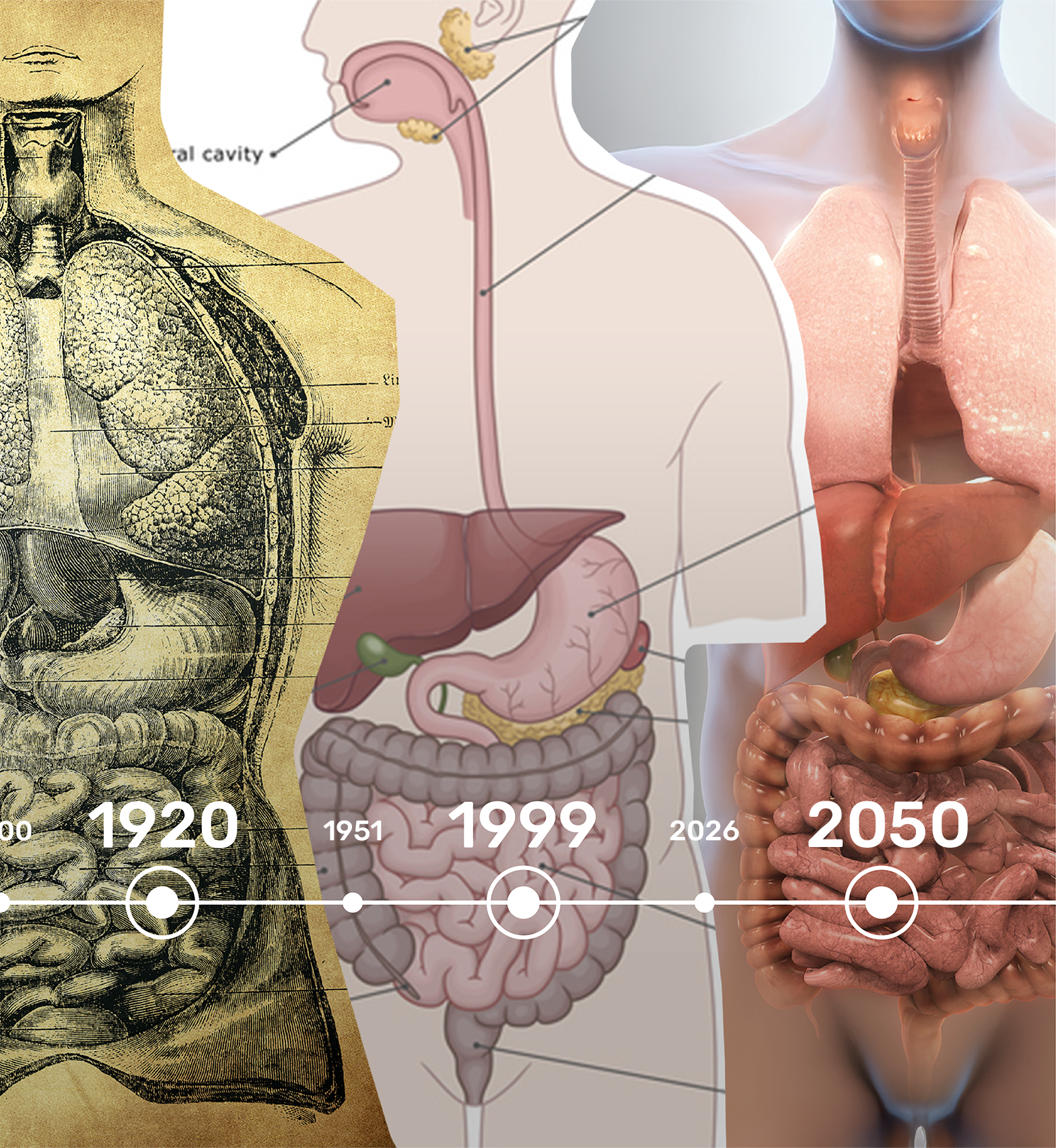 XVIII Jornada de Avances en Gastroenterología:  De la historia a la innovación - VIII Jornada de Avances en Enfermería Endoscópica